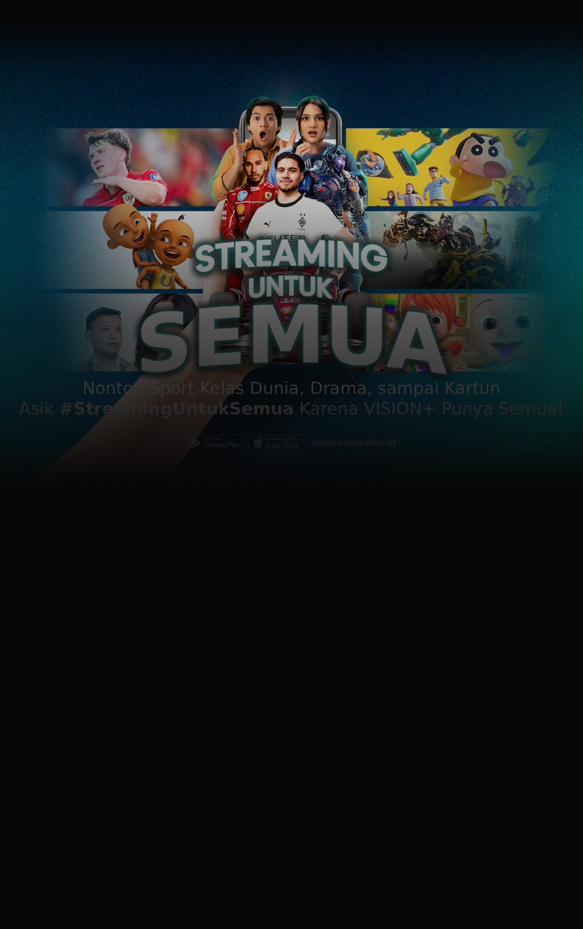 banner about visionplus